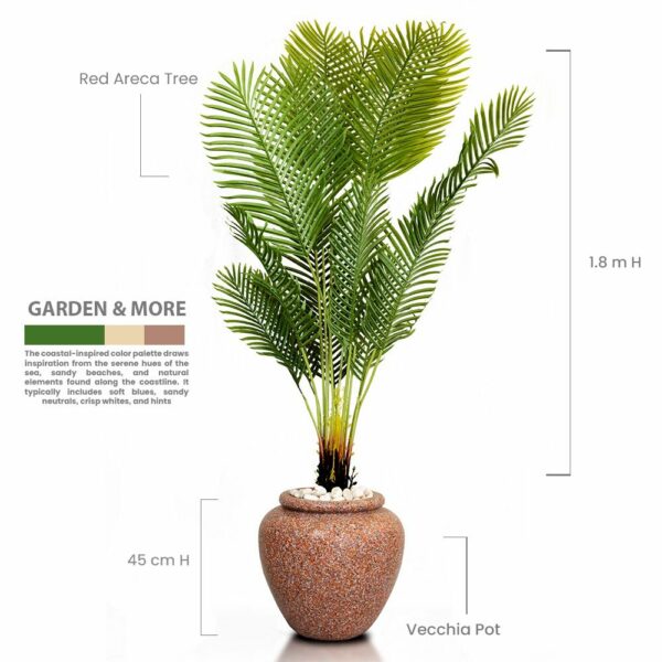 Red Areca Tree