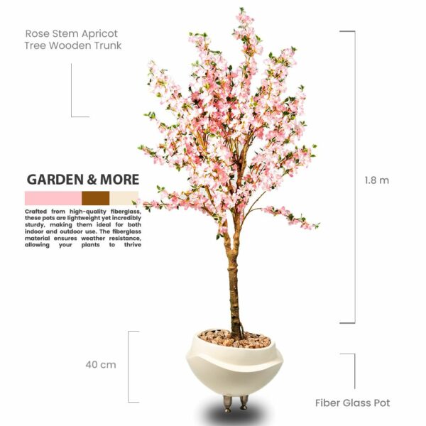 Rose Stem Apricot