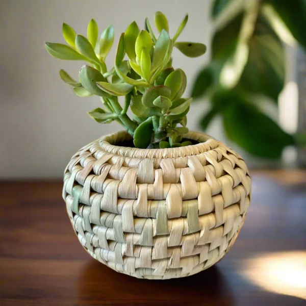 Belly plant pot cover